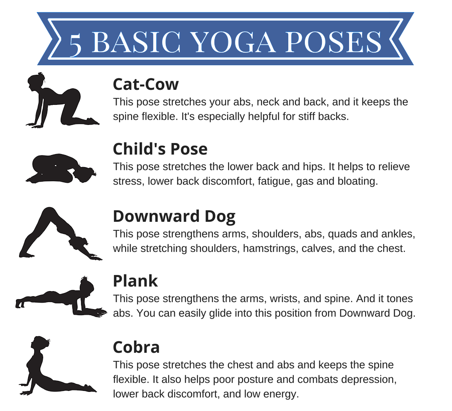 Yoga A guide for beginners SilverSneakers