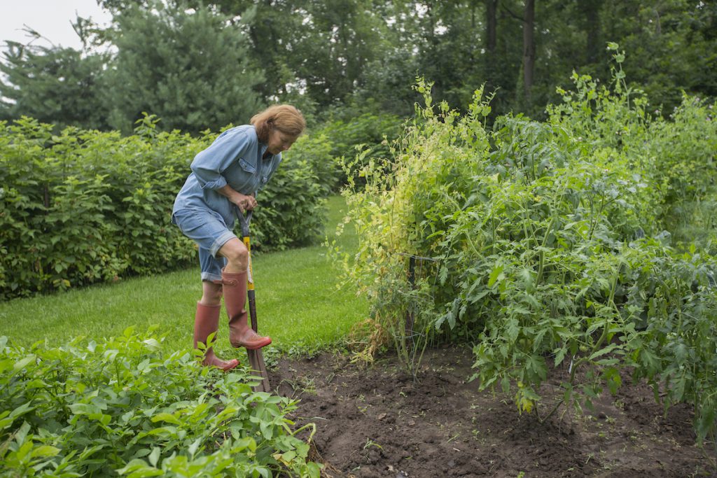 Mature woman working in the garden
