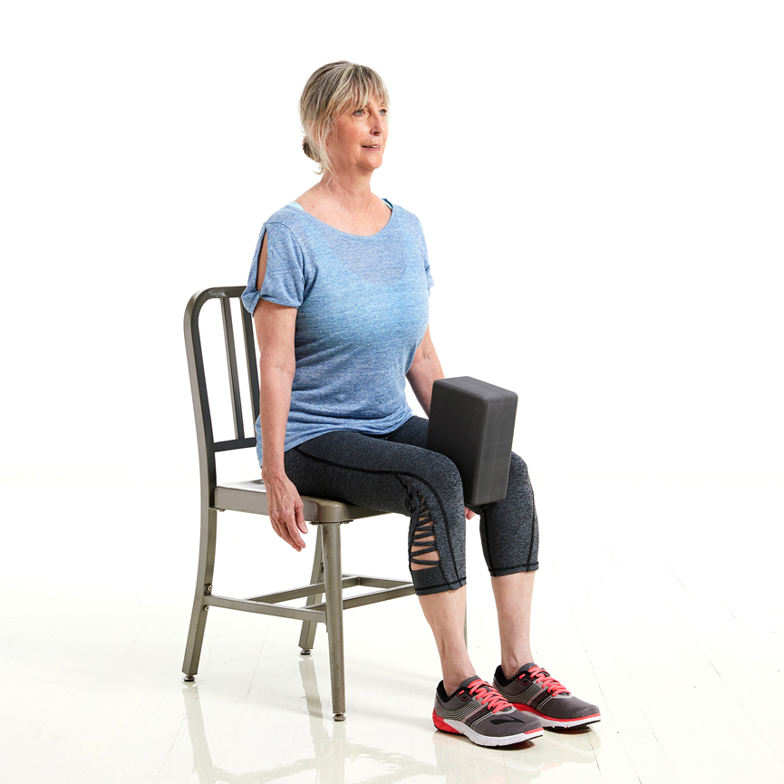 Seated Hip Adduction Exercise