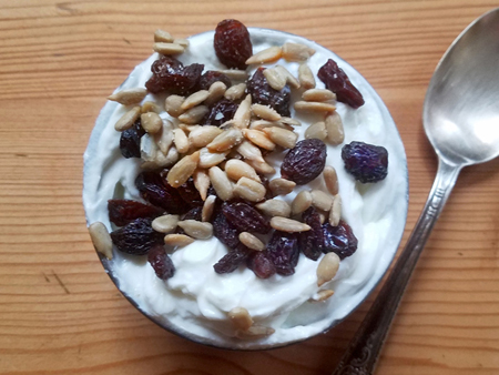 Plain Greek Yogurt with Raisins and Sunflower Seeds
